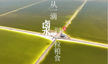 W020260421797559584171_ORIGIN